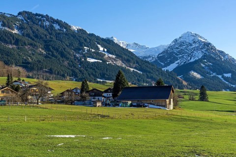 Schoellang, back right Rubihorn, Illertal, Oberallgaeu, Allgaeu, Bavaria, Germany, Europe