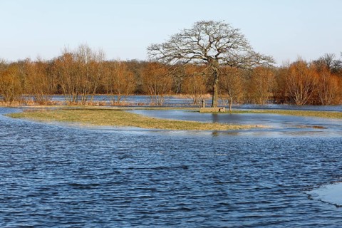 Winter floods 2024 on the Elbe and Mulde rivers with flooding of the meadows, ice on the meadows