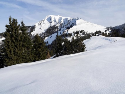 Winter landscape, view to the Schafberg, Sankt Wolfgang am Wolfgangsee, Salzkammergut, Upper
