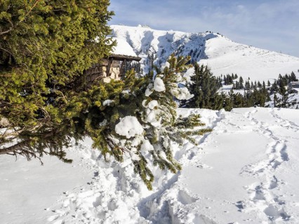 Winter landscape, view to the Schafberg, Sankt Wolfgang am Wolfgangsee, Salzkammergut, Upper