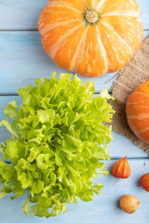 Microgreen sprouts of lettuce with pumpkin on blue wooden background. Top view, flat lay, close up