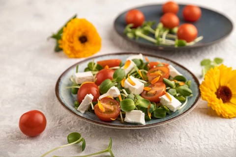 Vegetarian vegetables salad of tomatoes, marigold petals, microgreen sprouts, feta cheese on gray