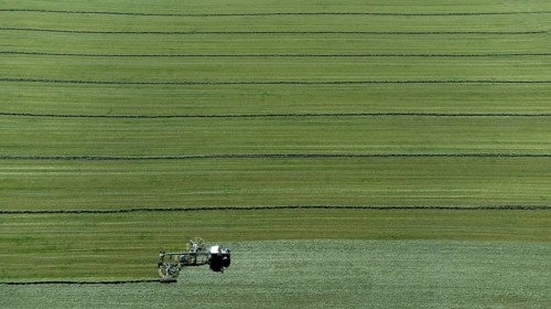 Farmer cutting grass to straight rows with tractor and large roundabout rake, drone shot, Upper