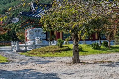 Rock carved dragons atop turtle in front of temple building at temple in Gimje-si, South Korea,