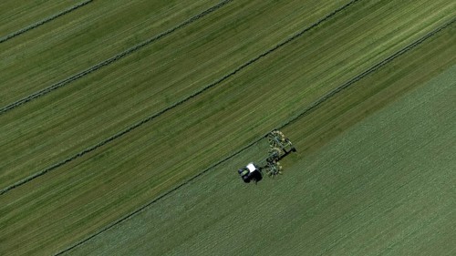 Farmer cutting grass to straight rows with tractor and large roundabout rake, drone shot, Upper