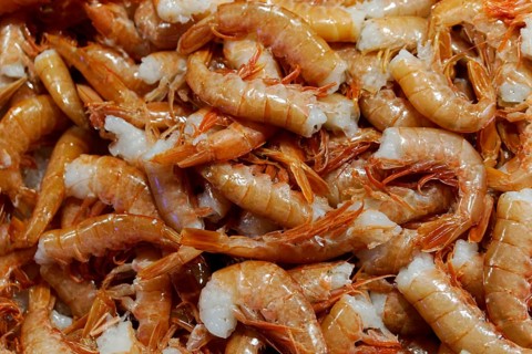 Scampi, seafood, Campo de la Pescaria fish market, Rialto market, San Polo neighbourhood, Venice,