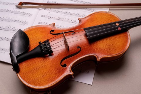 Half viola with bow and music book in front of a monochrome background, studio photograph, Germany,