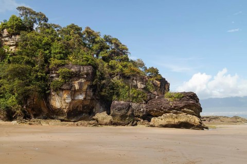 Cliff in Bako national park, sunny day, blue sky and sea. Vacation, travel, tropics concept, no