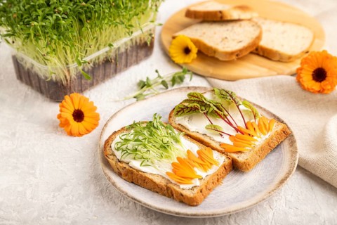 White bread sandwiches with cream cheese, calendula petals and microgreen on gray concrete