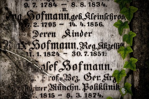 Gravestone with common ivy (Hedera helix), Munich, Bavaria, Germany, Europe