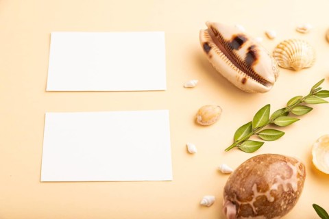 Composition of white paper business cards, seashells, green boxwood. mockup on orange background.