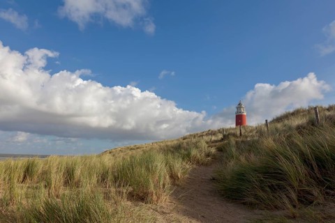 Lighthouse Eierland with dunes, De Cocksdorp, Texel, West Frisian Islands, North Holland Province,