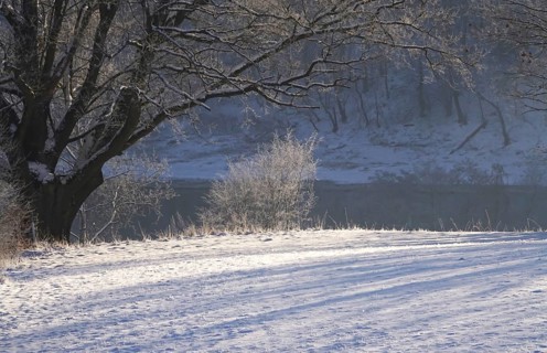 Winter in the Elbe Sandstone Mountains, banks of the Elbe, Saxony, Germany, Europe