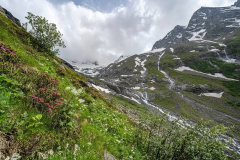 Green mountain valley Floitengrund with mountain stream Floitenbach, ascent to Greizer Huette,