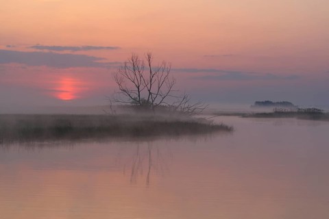 Sunrise Biebrza Poland