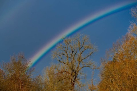 Rainbow at the confluence of the Breg and Brigach rivers to form the Danube, source of the Danube,