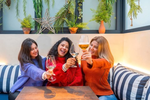 Horizontal photo of three female friends toasting with white wine sitting in a modern colorful