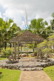 Palm collection in city park in Kuching, Malaysia, tropical garden with large trees and lawns,