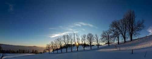 Sun shining through bare trees, snowy winter landscape on the Brunnersberg, Solothurn, Switzerland,