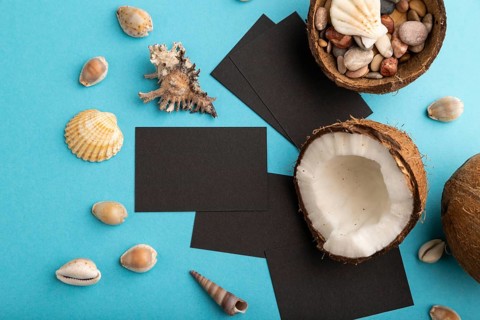 Black paper business card with coconut and seashells on blue pastel background. Top view, flat lay,