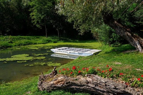 Ship next to a quiet arm of the Little Danube surrounded by green nature and red flowers,