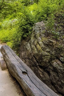 Park bench made of long cut log under shade tree beside large boulder on hiking trail in