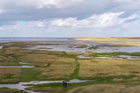 National Park Duinen van Texel, dunes of Texel, North Sea island of Texel, West Frisian island,