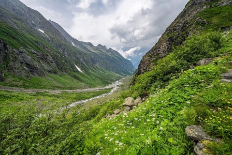 Green mountain valley Floitengrund with mountain stream Floitenbach, Berliner Hoehenweg, Zillertal