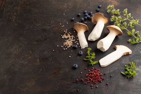 King Oyster mushrooms or Eringi (Pleurotus eryngii) on black concrete background with blueberry,