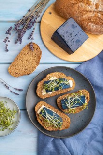 Bread sandwiches with blue lavender cheese and mustard microgreen on blue wooden background and