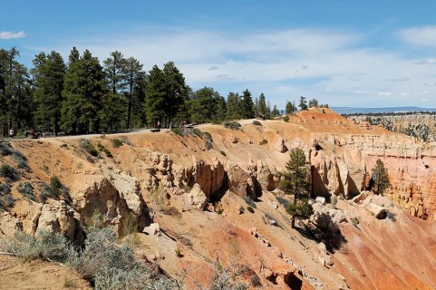Trails at the canyon rim, Bryce Canyon National Park, Utah, USA, North America