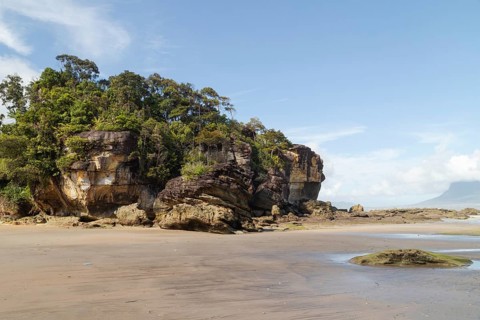 Cliff in Bako national park, sunny day, blue sky and sea. Vacation, travel, tropics concept, no