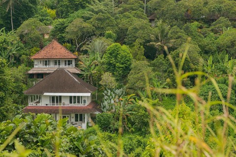 Landscape with houses in jungle near Campuhan ridge walk, Bali, Indonesia, track on the hill with
