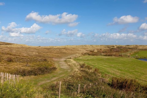 National Park Duinen van Texel, dunes of Texel, North Sea island of Texel, West Frisian island,