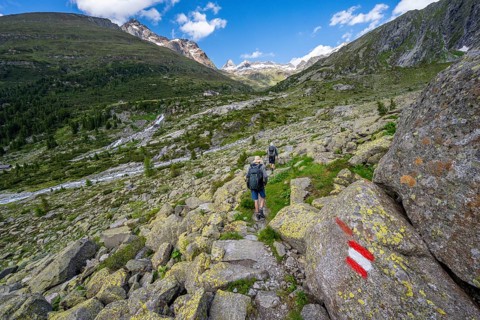 Mountaineers on a hiking trail with blooming alpine roses, rocky mountain peaks and Hornkeesbach