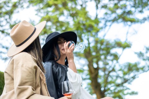 Lifestyle of young friends in hats sitting on the grass toasting with wine. Side view of two women