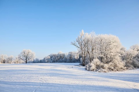 Snowy winter landscape near Polling an der Ammer. Polling, Paffenwinkel, Upper Bavaria, Germany,