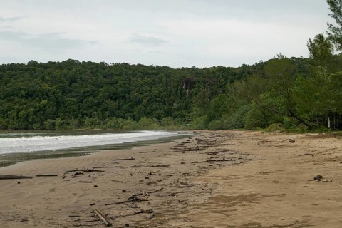 Bako national park, sea sandy beach, overcast, cloudy day, sky and sea. Vacation, travel, tropics