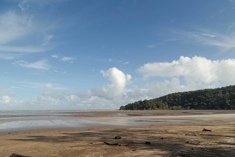 Bako national park, sea sandy beach, sunny day, blue sky and sea. Vacation, travel, tropics