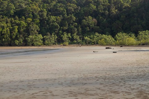 Bako national park, sea sandy beach, sunny day, blue sky and sea. Vacation, travel, tropics