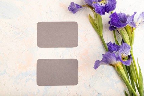 Gray business card with blue iris flowers on white concrete background. top view, flat lay, copy