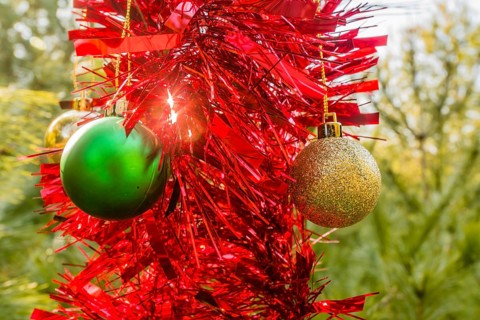 Green and gold Christmas ornaments and red tensile garland hanging on pine tree in local park in