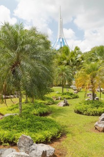 Palm collection in city park in Kuching, Malaysia, tropical garden with large trees and lawns,