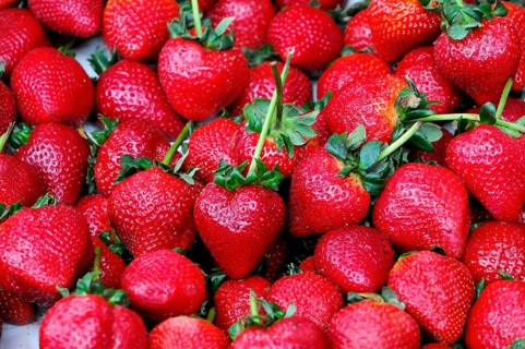 Organic strawberries, fruit sale Farmers Market, Crocker Galleria, Financial District, San