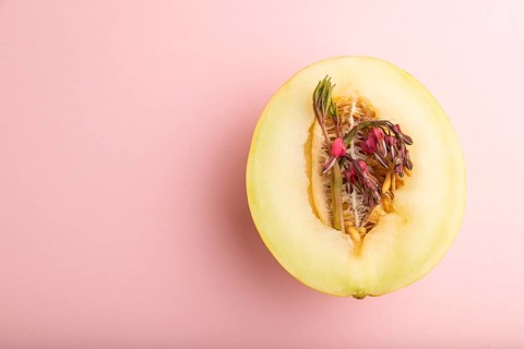 Sliced ripe yellow melon and dicentra flowers on pink pastel background. Top view, flat lay, copy