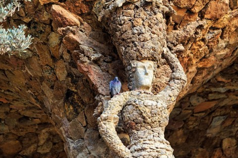 Dove sitting on the shoulder of a stone sculpture, Portico of the Washerwoman, colonnade in Park