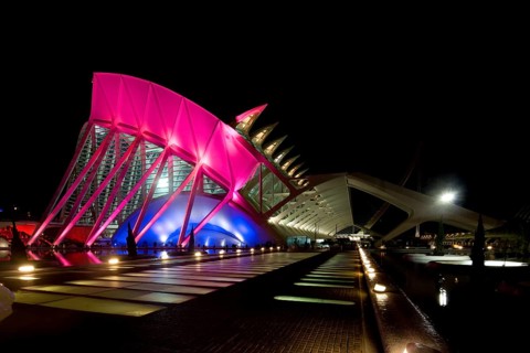 Science Museum-Prince-Felipe-Valencia-Spain-Architect-Santiago-Calatrava Architecture Night shot