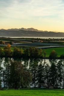 Kressbronn am Lake Constance, district Nitzenweiler, Schleinsee, water reflection, fruit