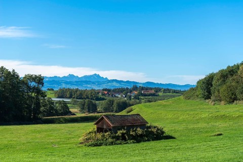 Hilly landscape near Kressbronn on Lake Constance, village, wooden hut, pasture, view of the Alps,