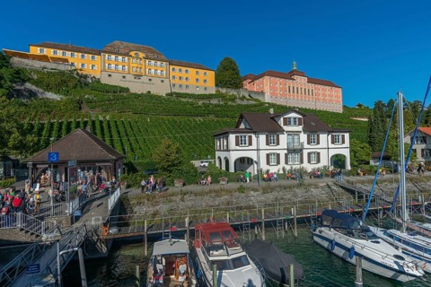 Meersburg on Lake Constance, harbour, yachts, vineyard, landing stage, state winery,